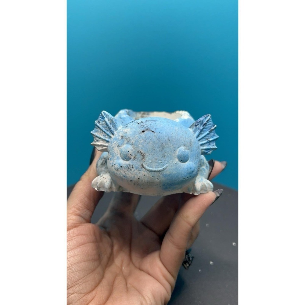 2 Axolotl  Concrete Planter Blue– Handmade Cement Succulent Plant  Pot, Handmade - Picture 2 of 12